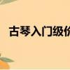 古琴入門級價格（入門級古琴一般多少錢）