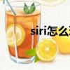 siri怎么玩成語接龍（siri怎么玩）