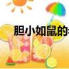 膽小如鼠的老鷹作文（膽小如鼠的老鷹）