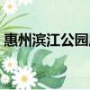 惠州濱江公園屬于什么街道（惠州濱江公園）