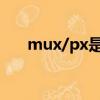 mux/px是什么意思（px是什么意思）