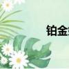鉑金婚戒價格（鉑金婚戒）