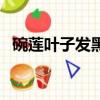 碗蓮葉子發黑是什么原因（碗蓮葉子發黑）