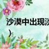 沙漠中出現淡水湖泊的原因（沙漠中出現湖泊）