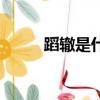 蹈轍是什么成語（蹈轍打一成語）
