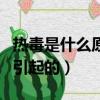 熱毒是什么原因引起的中醫（熱毒是什么原因引起的）