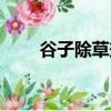 谷子除草劑藥害癥狀（谷子除草劑）