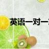 英語一對一家教廣告（英語一對一家教）