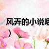 風弄的小說哪部最好看（風弄寫的小說有哪些）