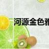 河源金色雅筑二手房（河源金色雅筑）