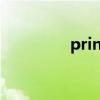 principally（principal）