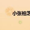 小張柏芝 叫什么名字（小張柏芝）