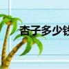 杏子多少錢一公斤（杏子多少錢一斤）