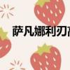 薩凡娜利刃高清圖片 壁紙（薩凡娜利刃）