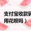 支付寶收款碼能用花唄嗎（支付寶收錢碼可以用花唄嗎）
