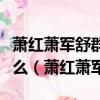 蕭紅蕭軍舒群駱賓基白朗李光英等人被稱為什么（蕭紅蕭軍）