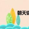 朝天鍋咋吃（朝天鍋的做法）
