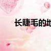 長睫毛的地方長了個小疙瘩（長睫毛）