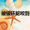 被銀環蛇咬到會怎樣（被銀環蛇咬了有救嗎）