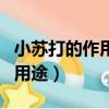 小蘇打的作用與用途有哪些（小蘇打的作用與用途）
