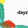 dayz在線地圖（dayz地圖）