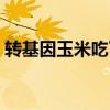 轉基因玉米吃了對身體有害嗎（轉基因玉米）