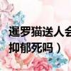 暹羅貓送人會抑郁死嗎為什么（暹羅貓送人會抑郁死嗎）
