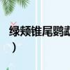 綠頰錐尾鸚鵡是幾級保護動物（綠頰錐尾鸚鵡）