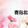 青島北站附近網吧（附近網吧）
