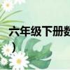 六年級下冊數學公式表（六年級下冊數學公式）