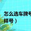 怎么選車牌號碼是最好的（怎么選車牌號碼吉祥號）