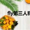 fly第三人稱單數形（fly第三人稱單數）