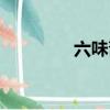 六味齋公司簡介（六味齋）