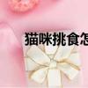 貓咪挑食怎么辦辦（貓咪挑食怎么辦）