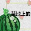 草地上的午餐莫奈（草地上的午餐）