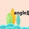 angle是天使的意思嗎（angle）