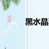 黑水晶票在哪里弄（黑水晶票）