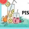 PIS系統全稱（pis系統）