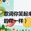 歌詞你笑起來真好看像春天的花一樣（像春天的花一樣）