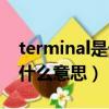 terminal是什么意思英語單詞（terminal是什么意思）