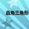 直角三角形勾股定理（三角形勾股定理）
