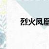 烈火鳳凰 電視（電視劇烈火鳳凰）