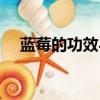 藍莓的功效與作用（蘭梅的功效與作用）
