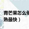 青芒果怎么催熟最快方法圖解（青芒果怎么催熟最快）