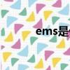 ems是什么意思（ems是什么）