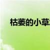 枯萎的小草怎么畫（枯萎的小草簡筆畫）