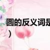 圓的反義詞是什么一年級（圓的反義詞是什么）