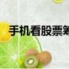 手機看股票籌碼峰在哪里看（手機看股票）