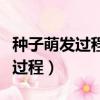 種子萌發過程中干重和鮮重的變化（種子萌發過程）
