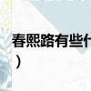 春熙路有些什么好玩的（春熙路有什么好玩的）